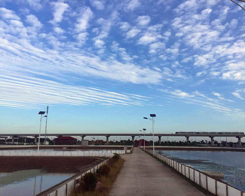 养殖基地