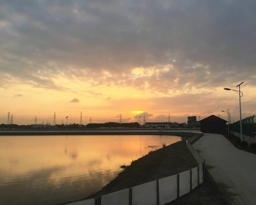 养殖基地